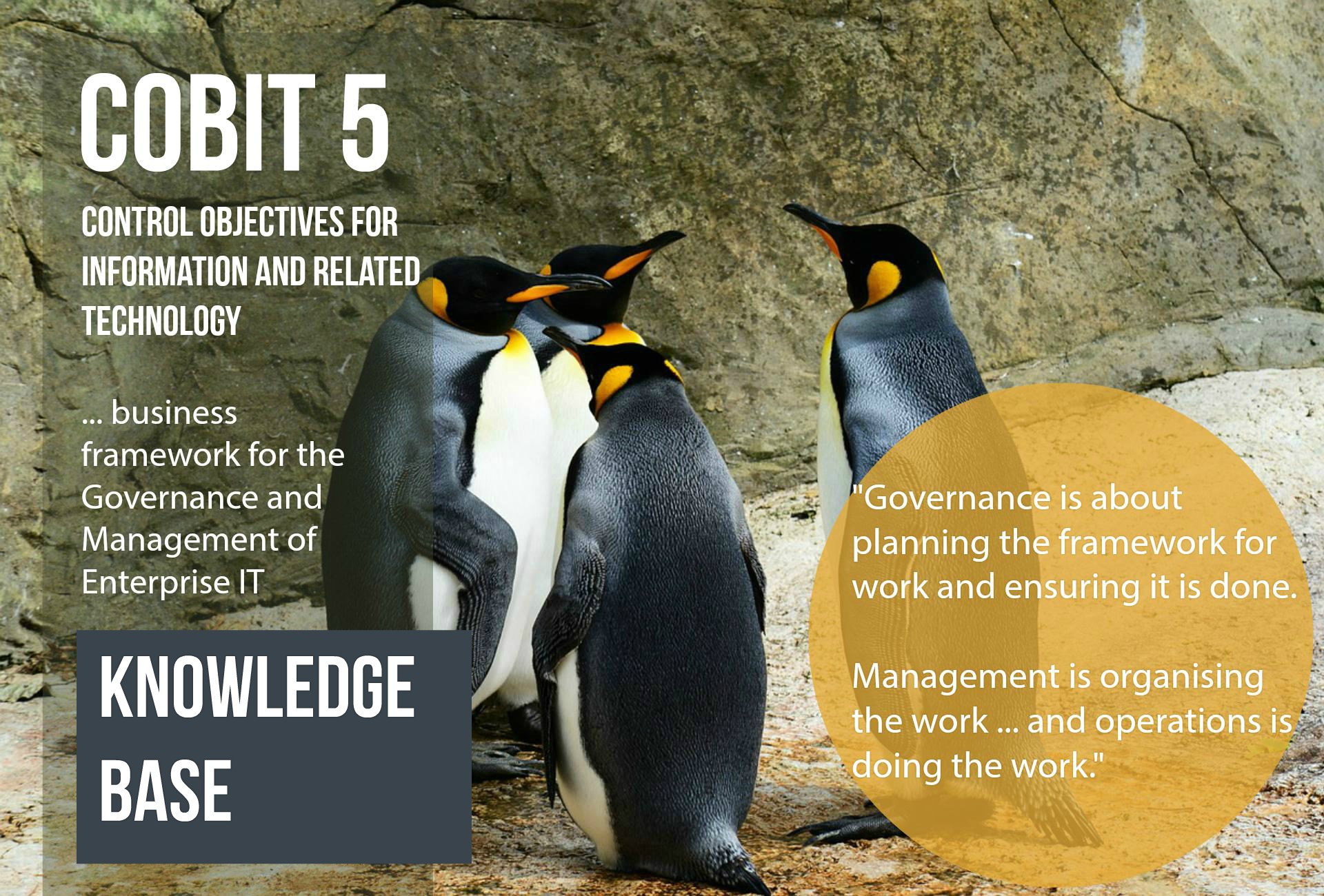 ITS Partner - knowledge base - Cobit 5