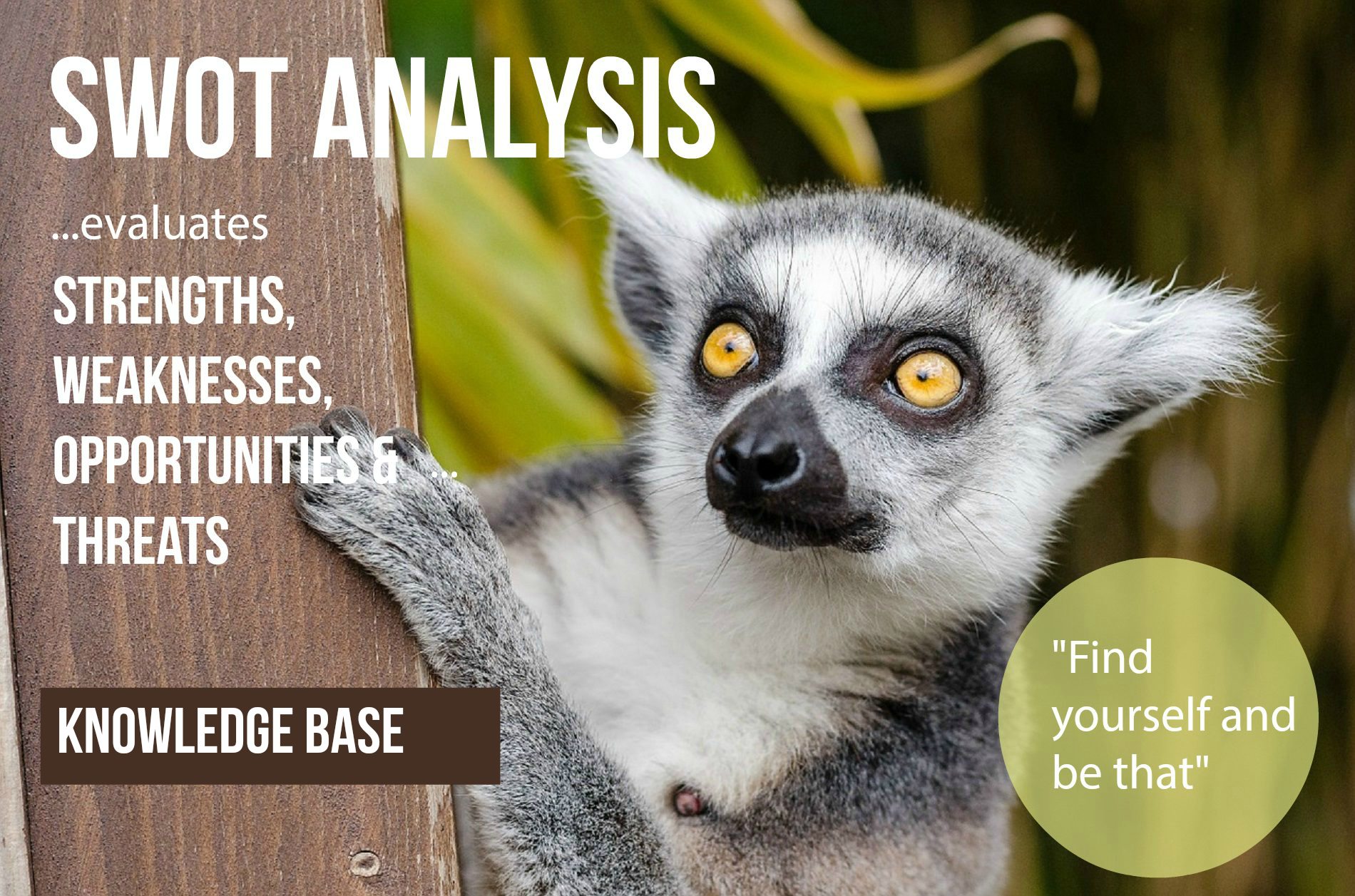 ITS Partner - Baza znanja - SWOT Analysis / SWOT Matrix