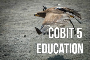 Cobit 5 edukacija