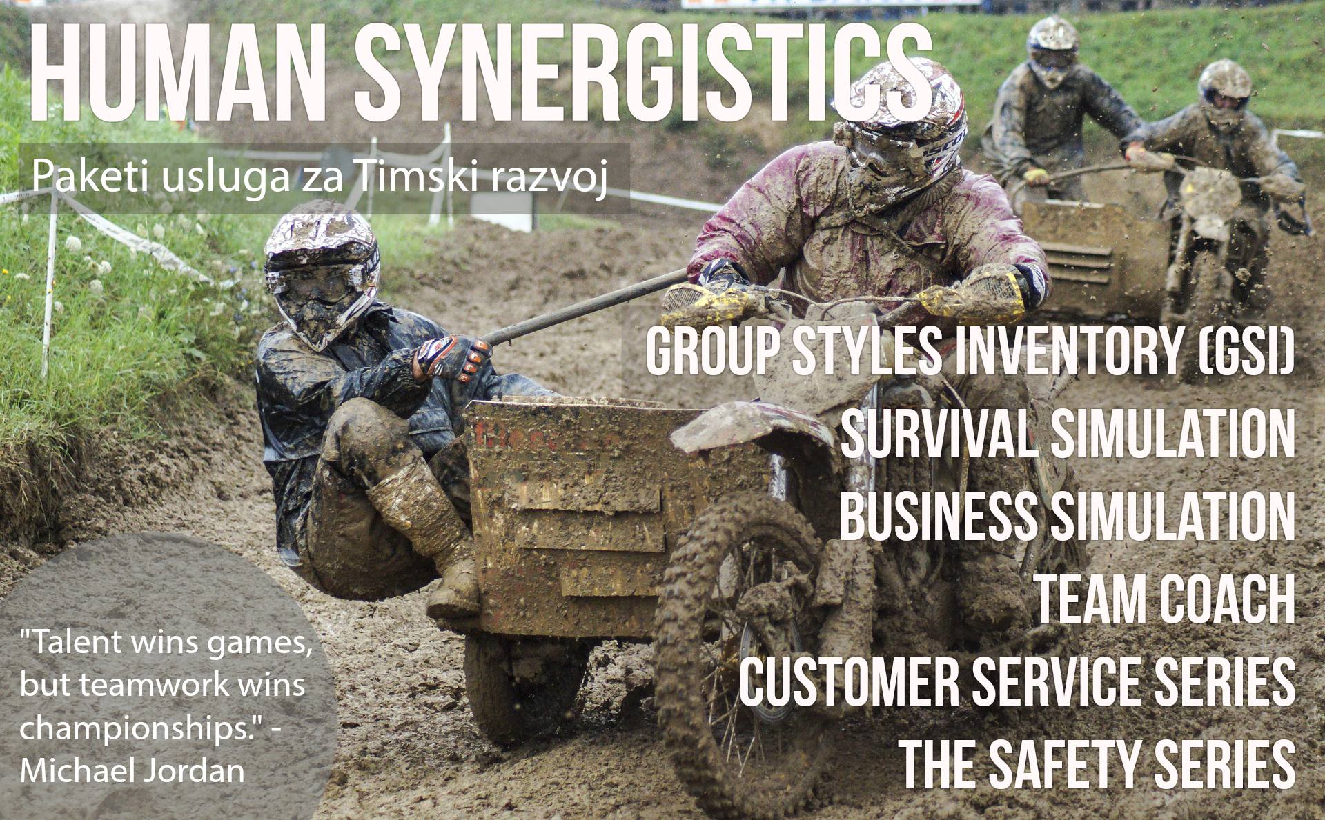 ITS Partner - Savjetovanje - Human Synergistics® Timski razvoj