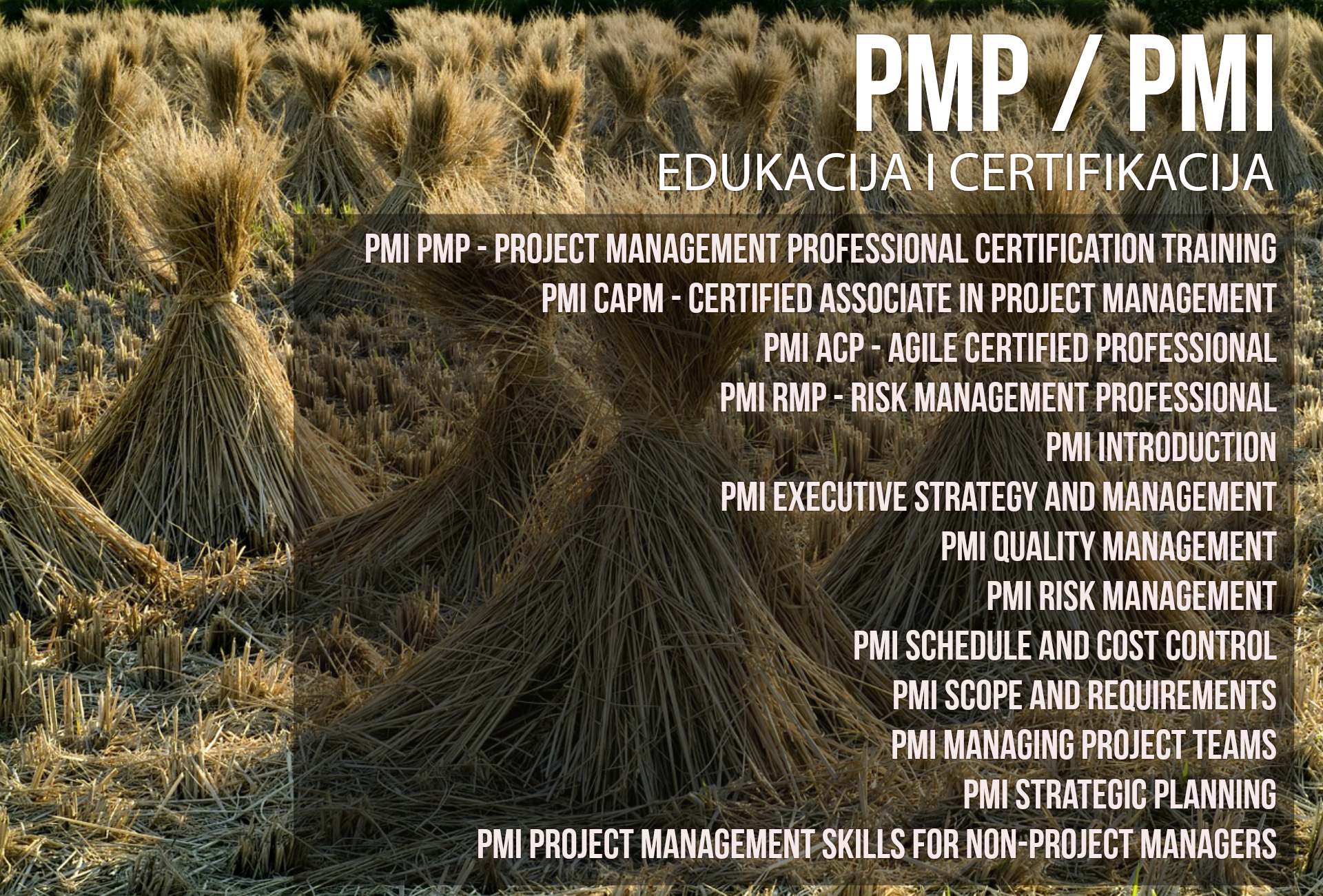 edukacija05-pmppmiprojectmanagement-1-1