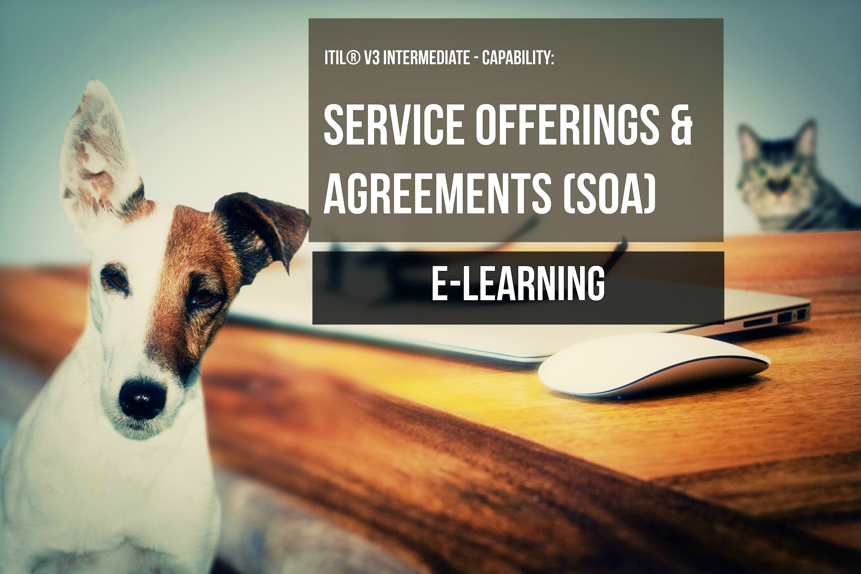 ITS Partner - ITIL Service Offerings and Agreements e-learning and certification