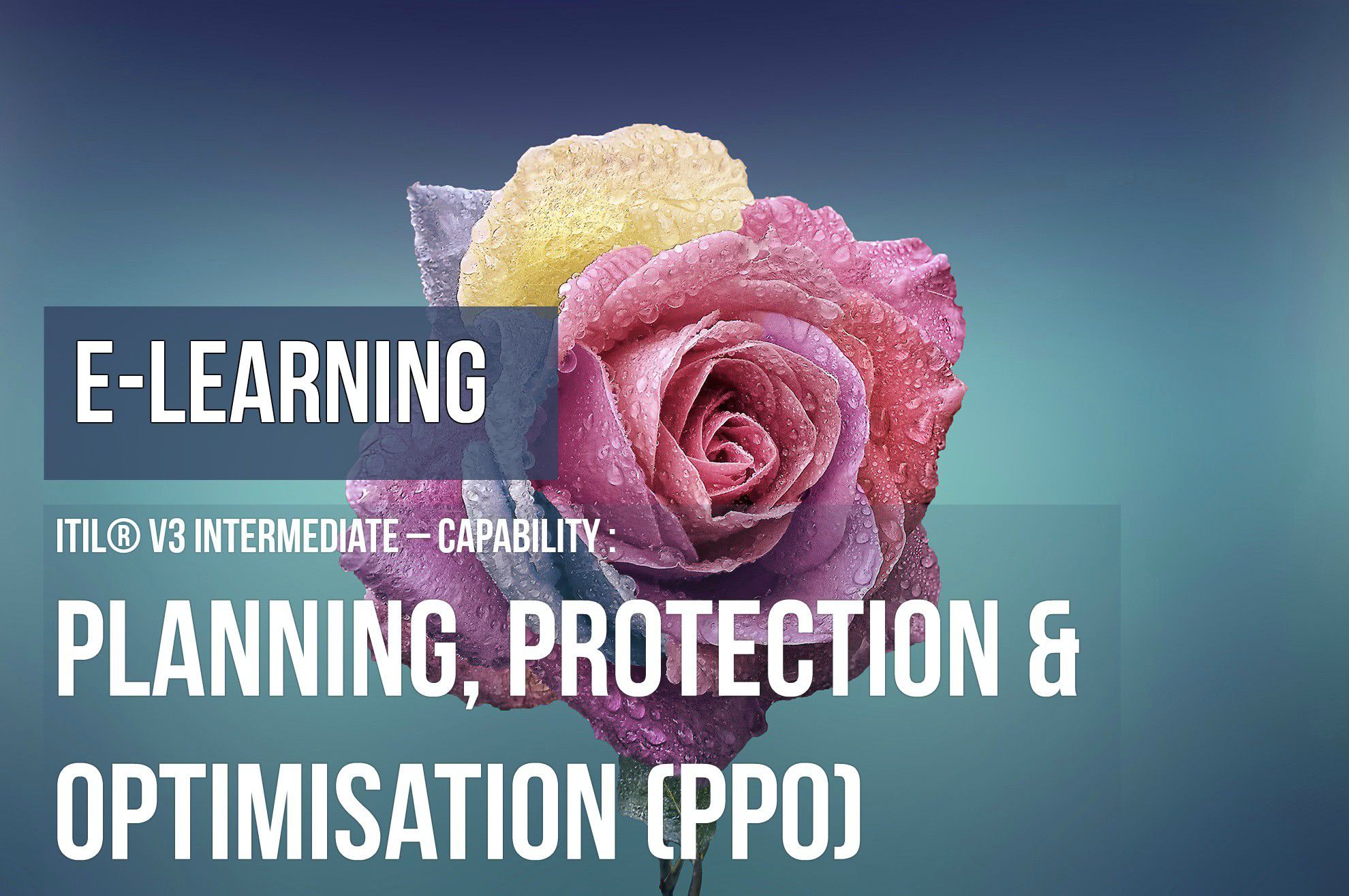 ITS Partner - ITIL Planning Protection Optimisation e-learning and certification