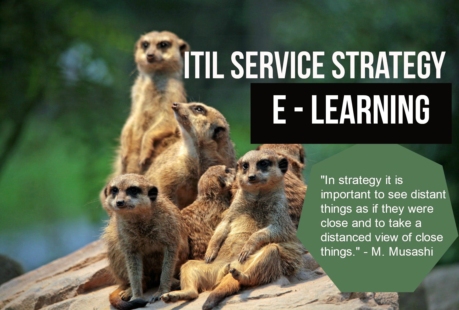 ITS Partner - Edukacija - ITIL Service Strategy education and certification