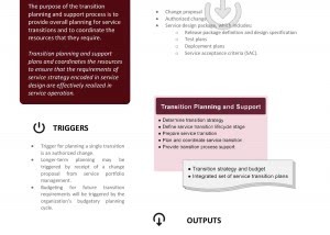 Transition Planning and Support